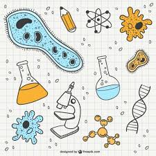 BIOLOGIA